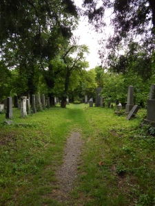 Cemetery as far as the eye can see